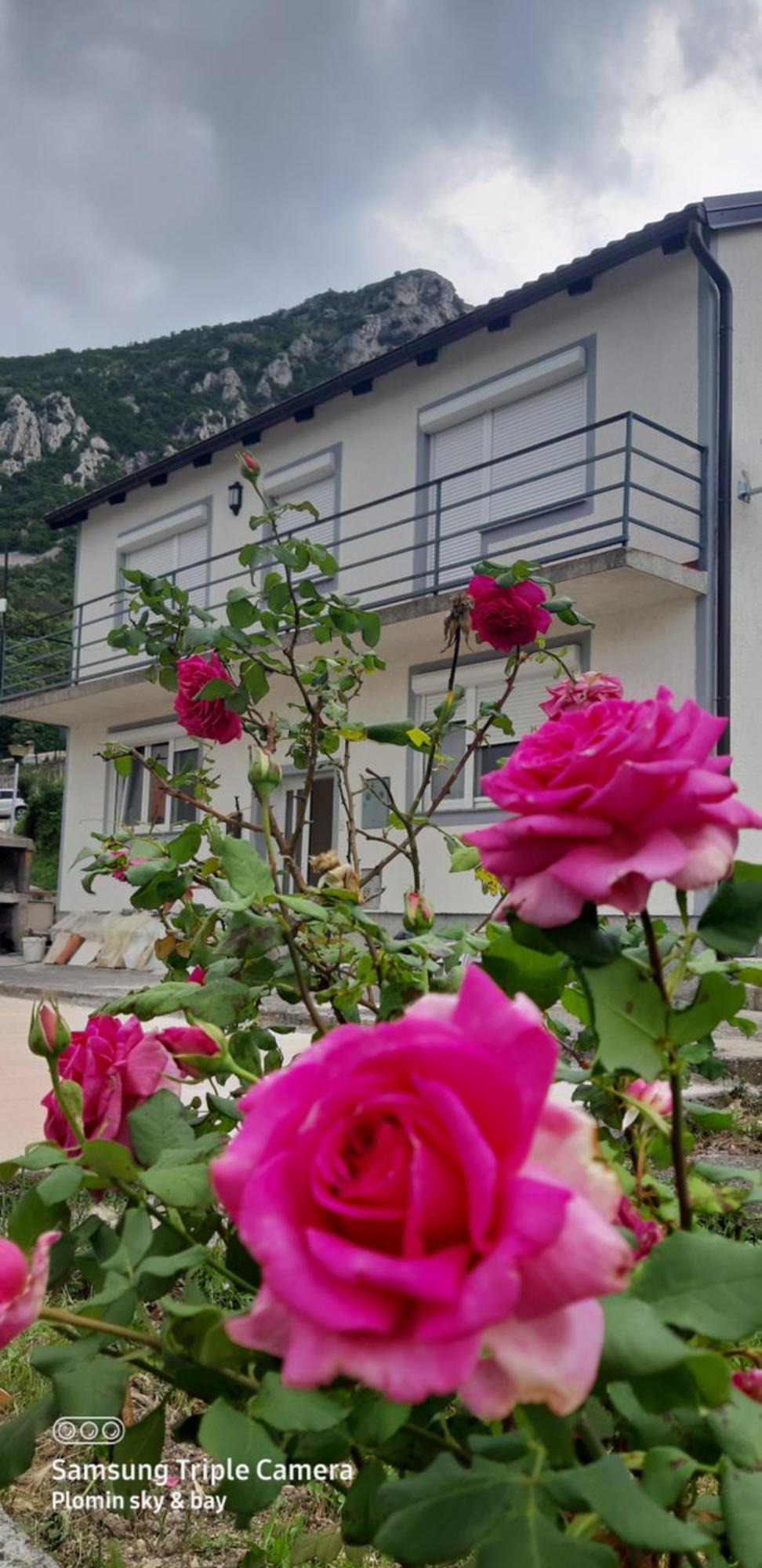 Plomin Sky&Bay Daire Dış mekan fotoğraf